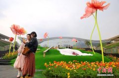 成都：巨型“虞美人”扮靓街头吸引市民打卡